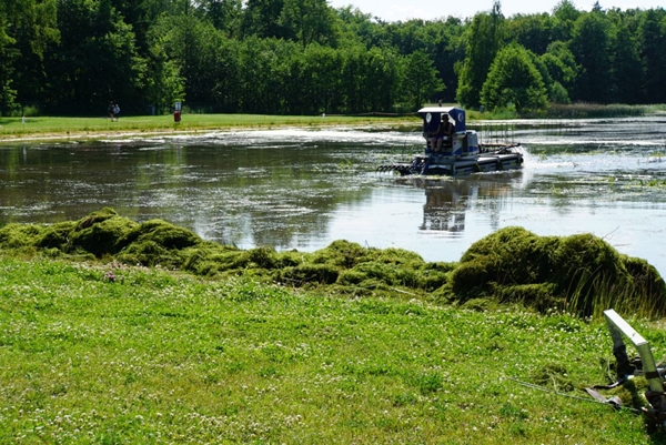 Waldbad Freiberg, Beseitigung der "grünen Pest", bzw. "kanadischen Wasserpest" Waldbad Freiberg, Beseitigung der "grünen Pest", bzw. "kanadischen Wasserpest"