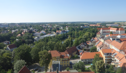 Ein grünes Freiberg funktioniert nur ohne Bürgergängelung.